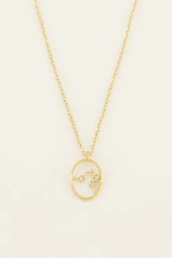 Ketting Met Sterrenbeeld Bedel