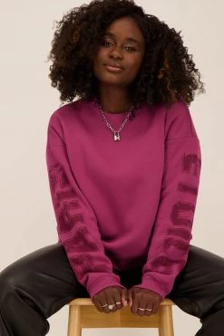 Paarse Sweater Paris Etoile